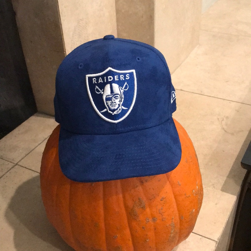 Raider suede fitted cap